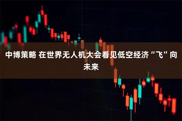 中博策略 在世界无人机大会看见低空经济“飞”向未来