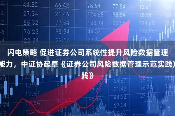 闪电策略 促进证券公司系统性提升风险数据管理能力，中证协起草《证券公司风险数据管理示范实践》