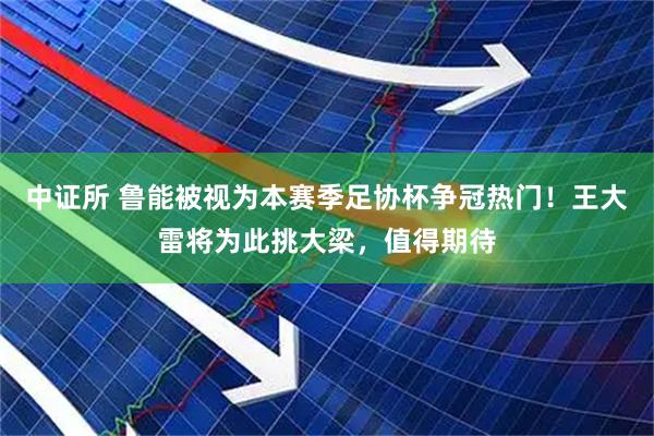 中证所 鲁能被视为本赛季足协杯争冠热门！王大雷将为此挑大梁，值得期待