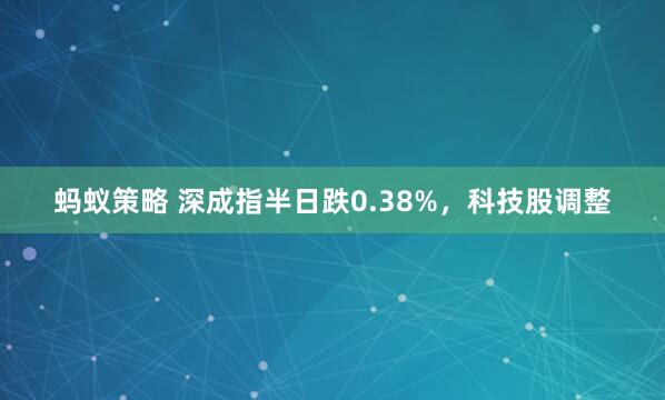 蚂蚁策略 深成指半日跌0.38%，科技股调整
