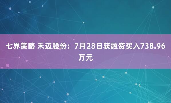 七界策略 禾迈股份：7月28日获融资买入738.96万元