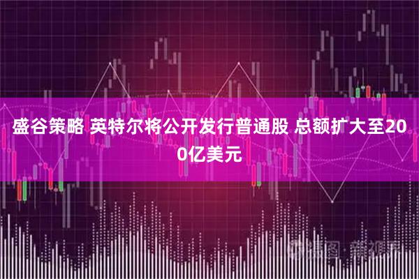 盛谷策略 英特尔将公开发行普通股 总额扩大至200亿美元